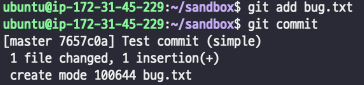 ../_images/sandbox_git_add.png