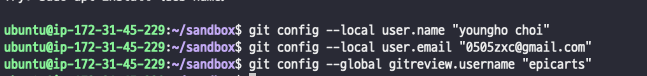 ../_images/sandbox_git_add_config.png